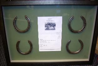 Framed horseshoes Quarto Star