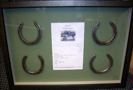 Box framed horseshoes
