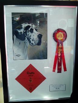 Crufts winner and rosette